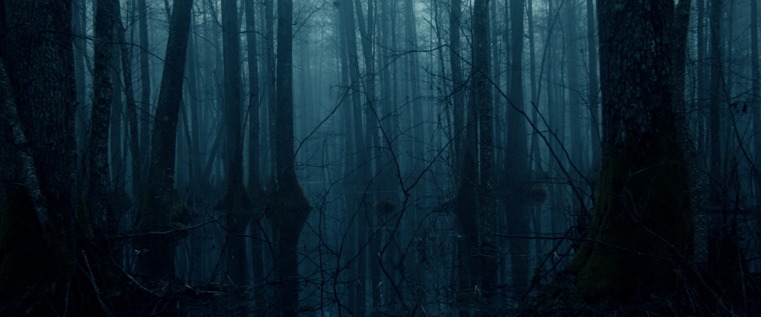 Alive_004