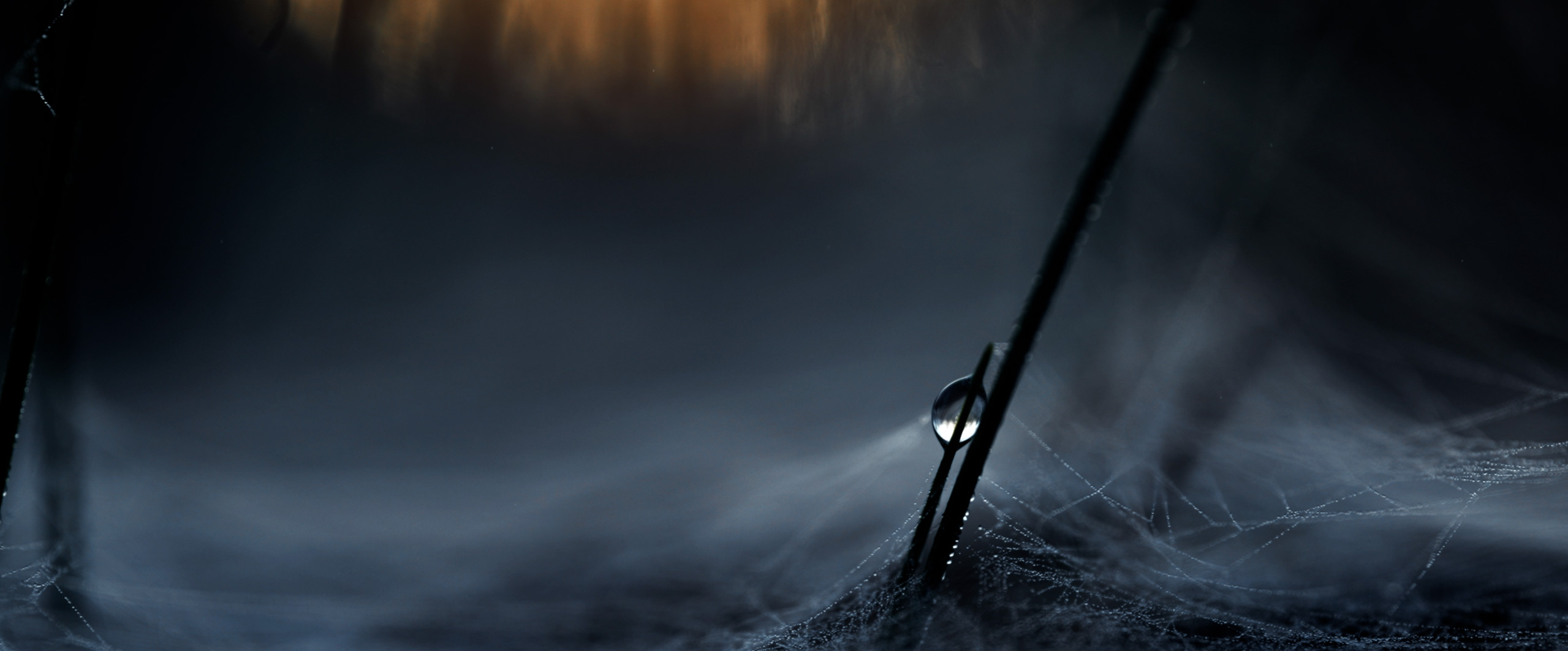 Alive_005