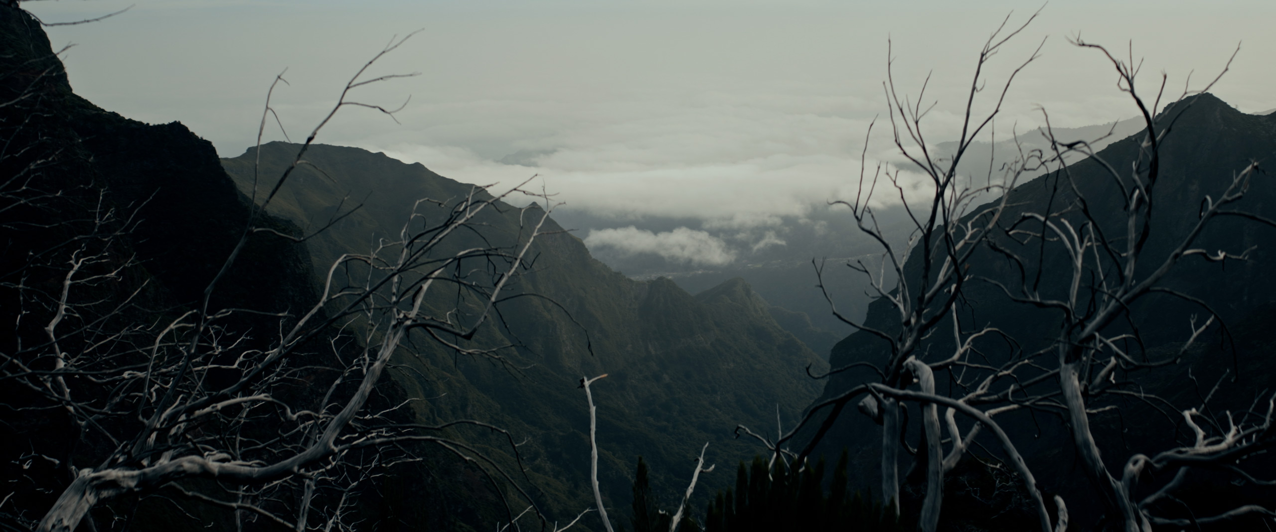 Alive_007