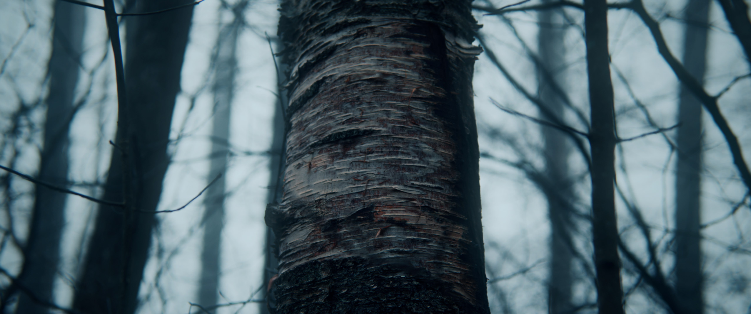 Alive_009
