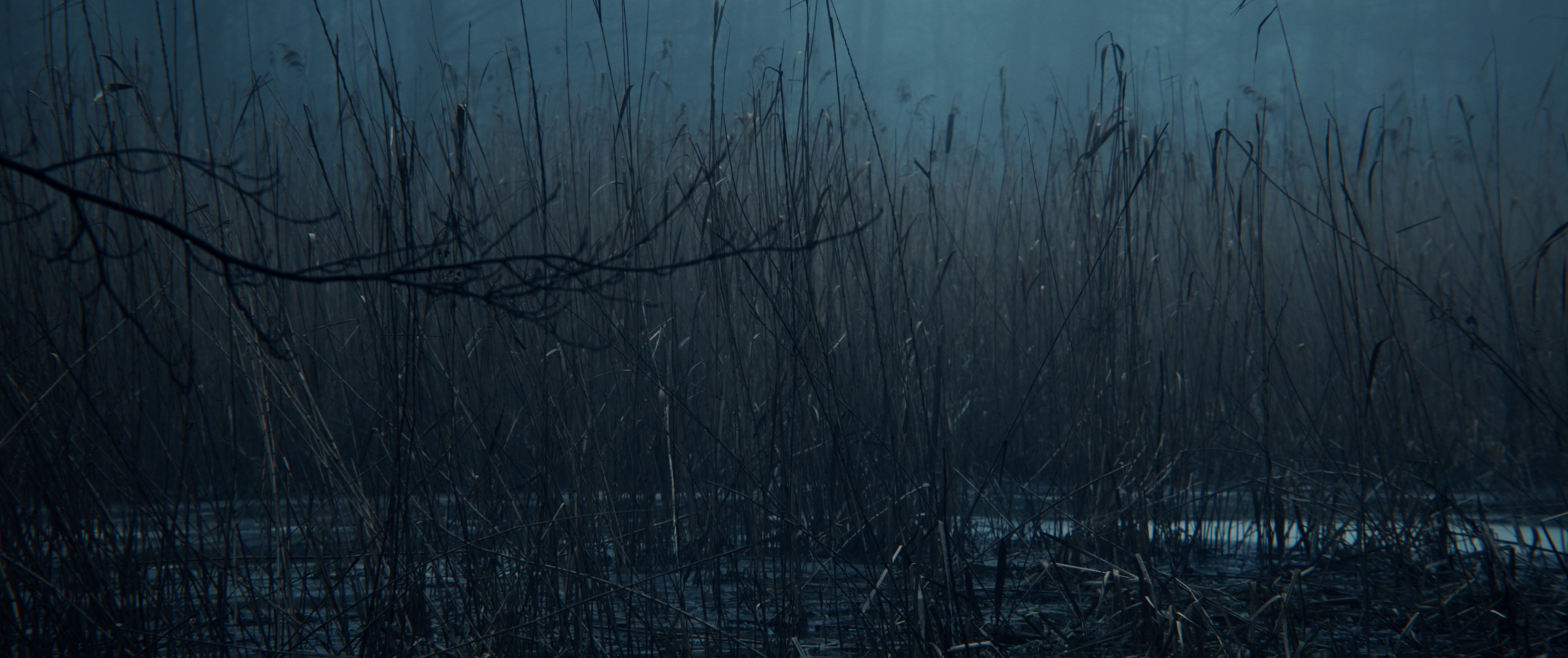 Alive_010