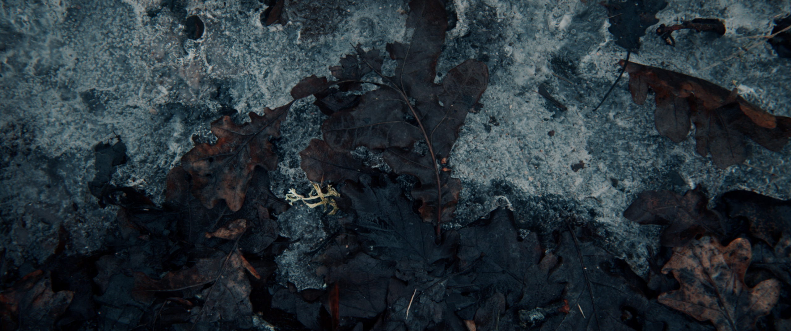 Alive_021
